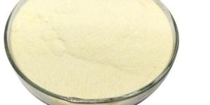 Transglutaminase Enzyme Powder