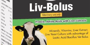 Liv-Bolus