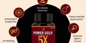 Medinutrica Ayurvedic Power Gold 5x 30 Veg Capsules