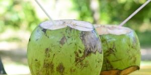 Tender Coconut Water