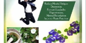 Shankhpushpi Capsules