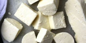 Fresh Paneer