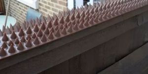Wall Spikes