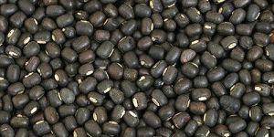 Black Urad Dal