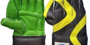 Wicket Keeping Gloves