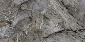 Harvest Grey Vitrified Tiles