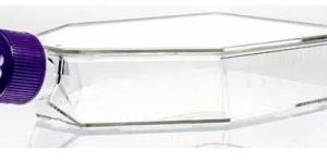 Tissue Culture Flask