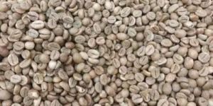 Premium Brown Coffee Beans
