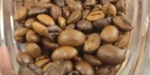Raw Coffee Beans