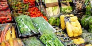 Seafood Packaging Tray