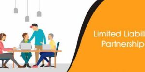 Limited Liability Partnership Registration Service