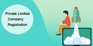 Private Limited Company Registration Service