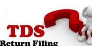 TDS Return (Along with Challan) Service