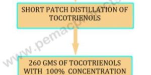 Tocotrienol Extraction Plant