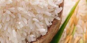 Non Basmati Rice