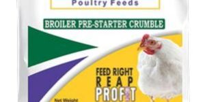 Broiler Pre Starter Crumble