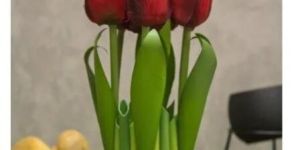 Tulips Artificial Flower