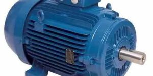 Single Phase Electric Motor