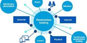 Penetration Testing Service