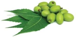 Neem Carrier Oil