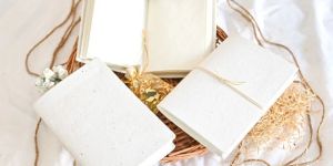 Seed Paper Diary - Set of 3