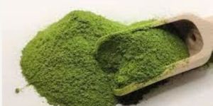 Spinach Powder
