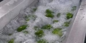 Vegetables Dehydration Plant- Continues Dehydrator-Batch Model Dehydrator.