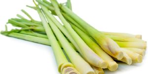 Fresh Lemon Grass