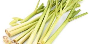 Herbal Lemon Grass
