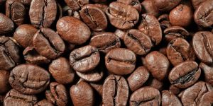 Robusta Coffee Beans