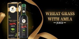 Wheatgrass with Amla Juice