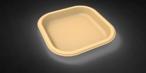 3CP Sugarcane Bagasse Brown Biodegradable Meal Tray