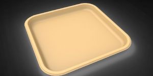 4CP Sugarcane Bagasse Brown Biodegradable Meal Tray