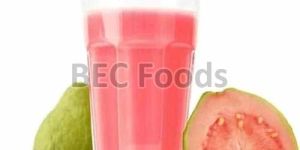 Pink Guava Concentrate