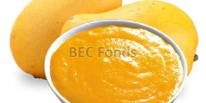 Totapuri Mango Concentrate