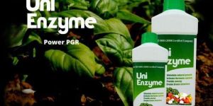 Liquid Organic Fertilizer