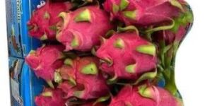 Dragon Fruit