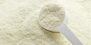 Colostrum Powder