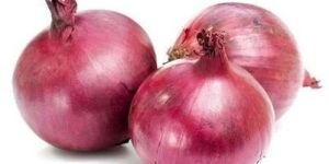Fresh Red Onion