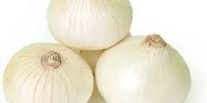 Fresh White Onion