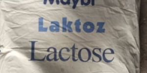 Lactose Powder