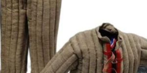 Training Dog Bite Dress