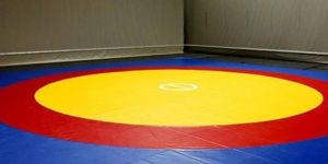 Wrestling Mat