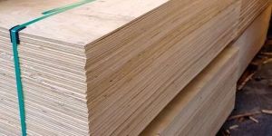 Commercial Plywood
