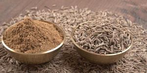 Cumin Seeds