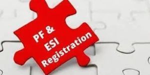 ESI & EPF Registration Service