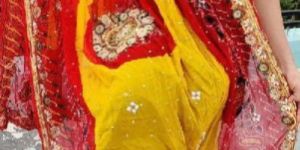 Rajasthani Georgette Fabric