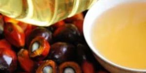 Palm Oil