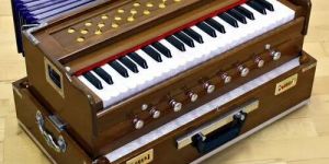 Musical Harmonium Reed