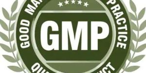 GMP Certification